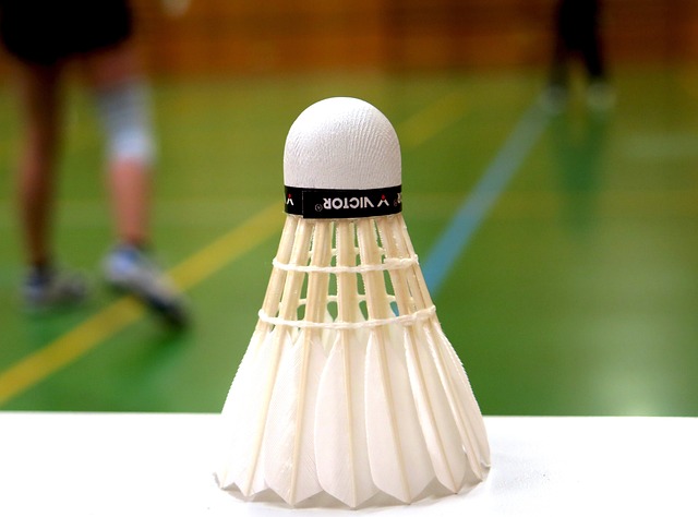 Guide: Sådan vælger du det perfekte badmintonsæt